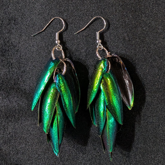 Jewel Beetle Wing Earrings