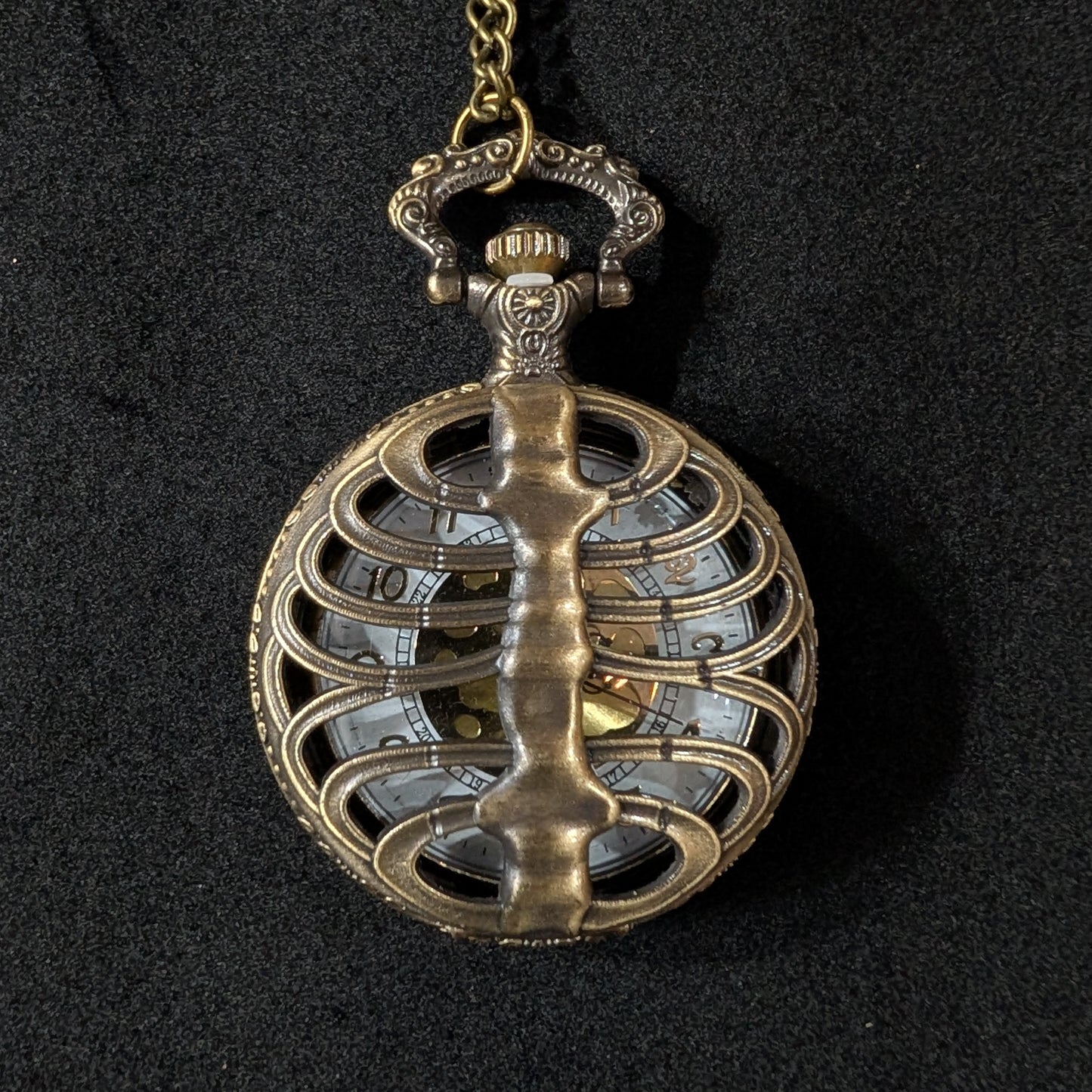 Pocket Watch, Ribcage