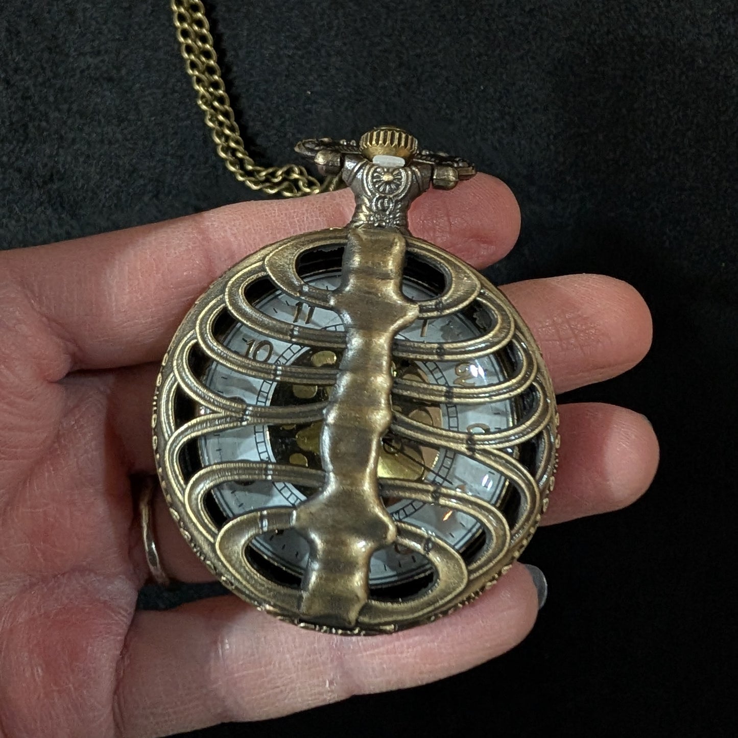 Pocket Watch, Ribcage