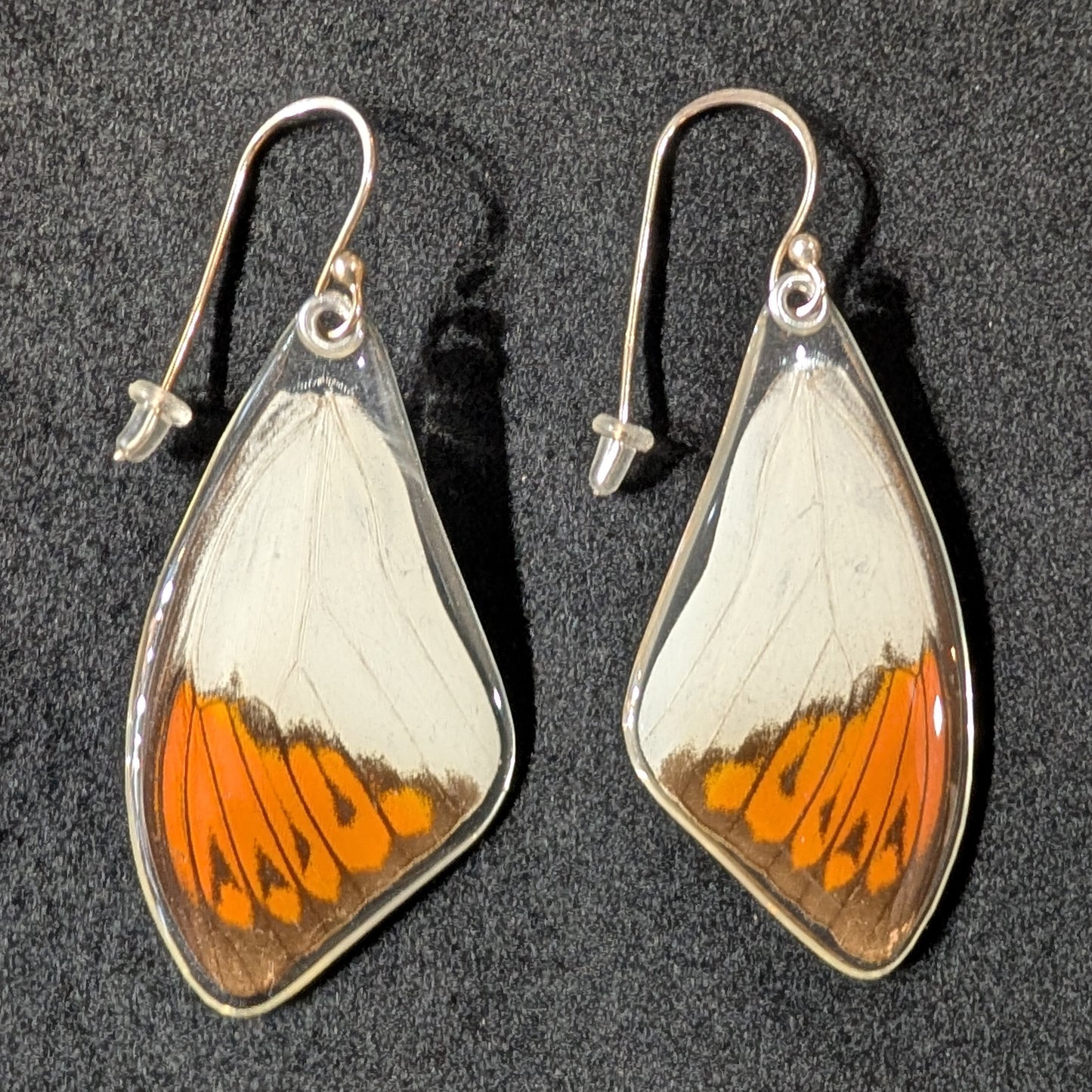 Real Butterfly Wing Earrings, Hebomoia Glaucippe, top wings