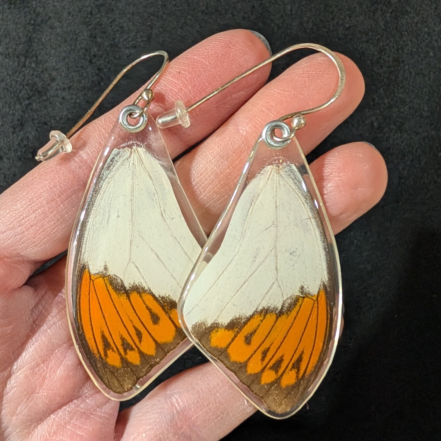 Real Butterfly Wing Earrings, Hebomoia Glaucippe, top wings