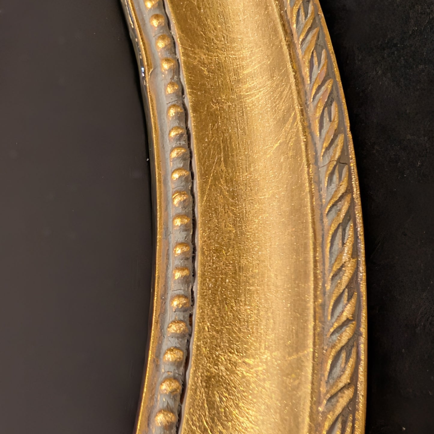 Stingray Skeleton in Oval Frame