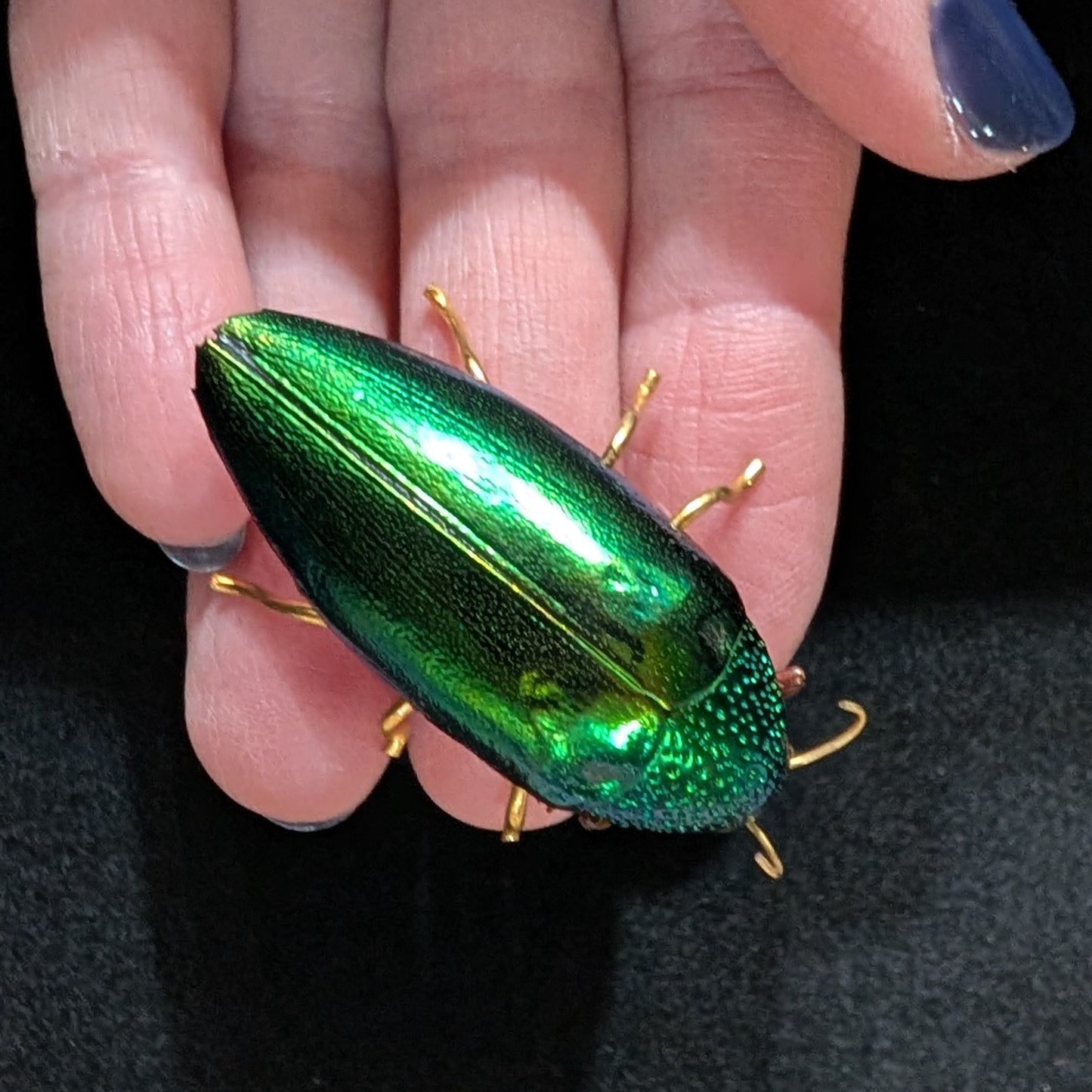 Real Emerald Beetle Pin