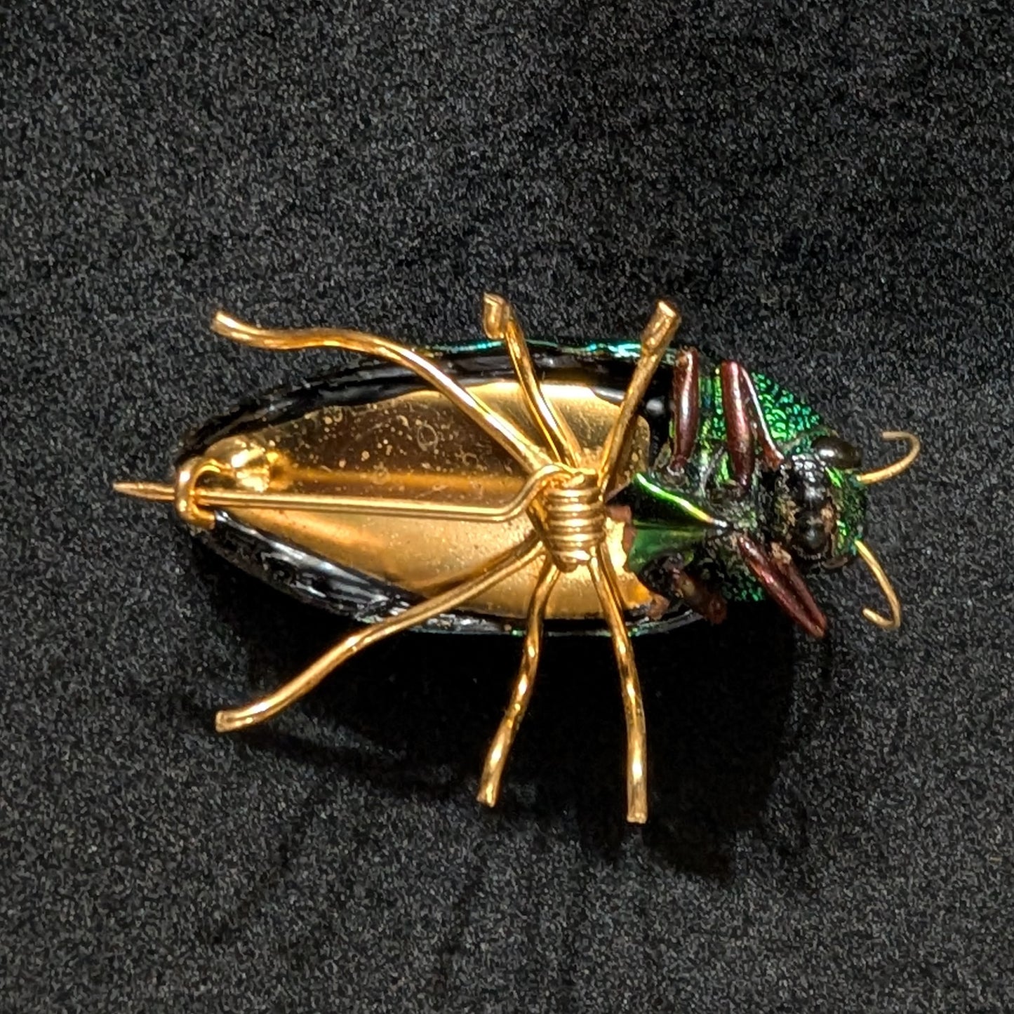 Real Emerald Beetle Pin