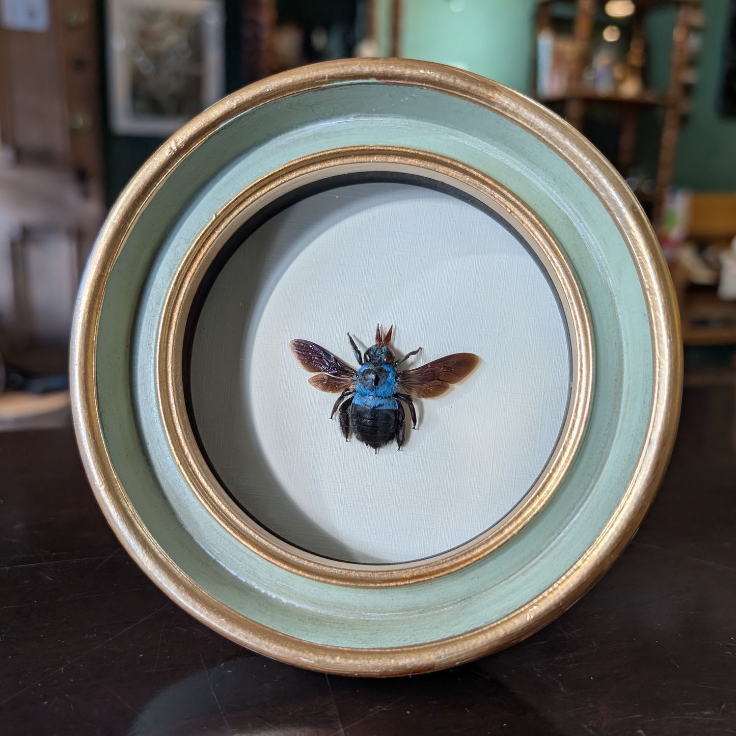 Real Blue Bee in Round Frame