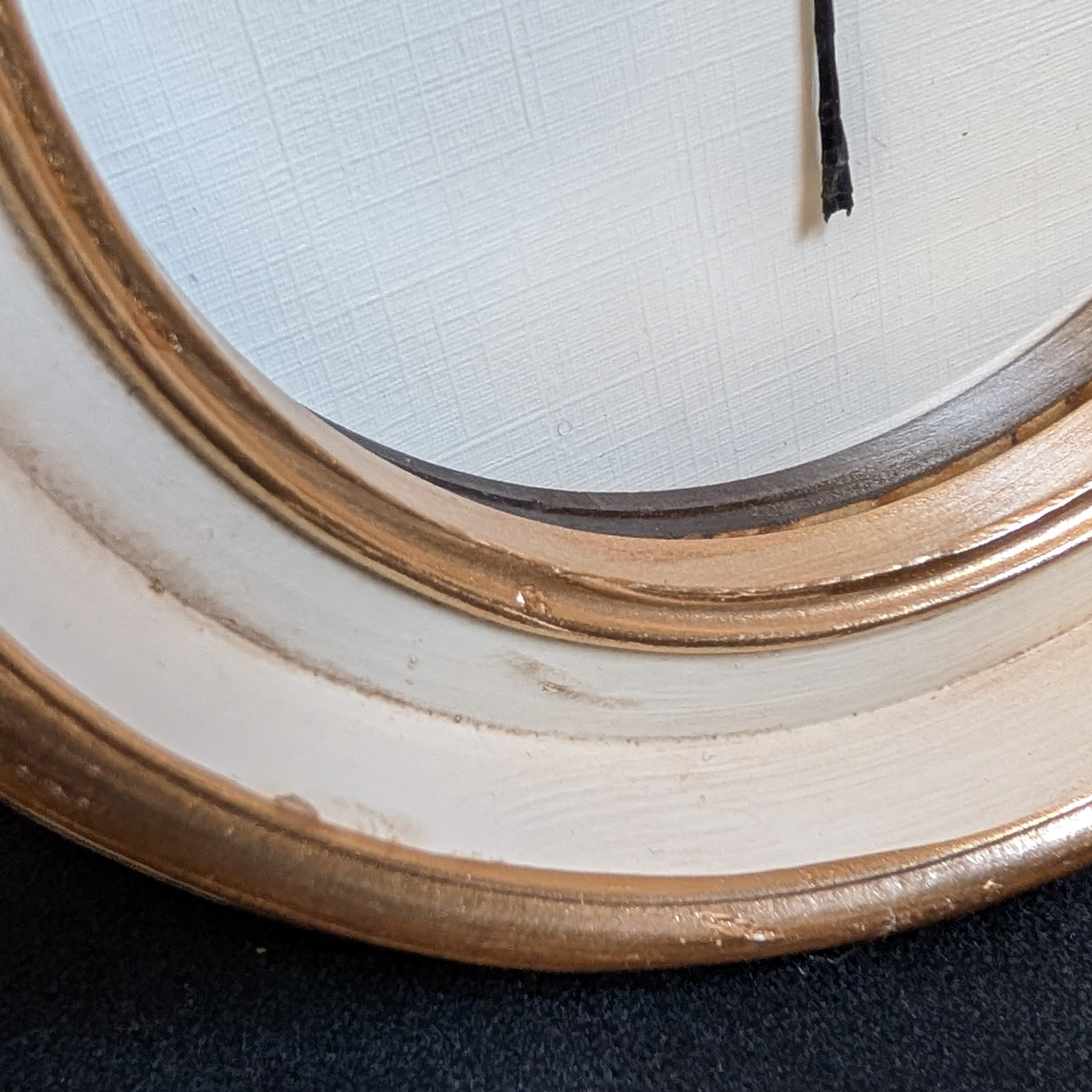 Real Dragonfly in Round Frame