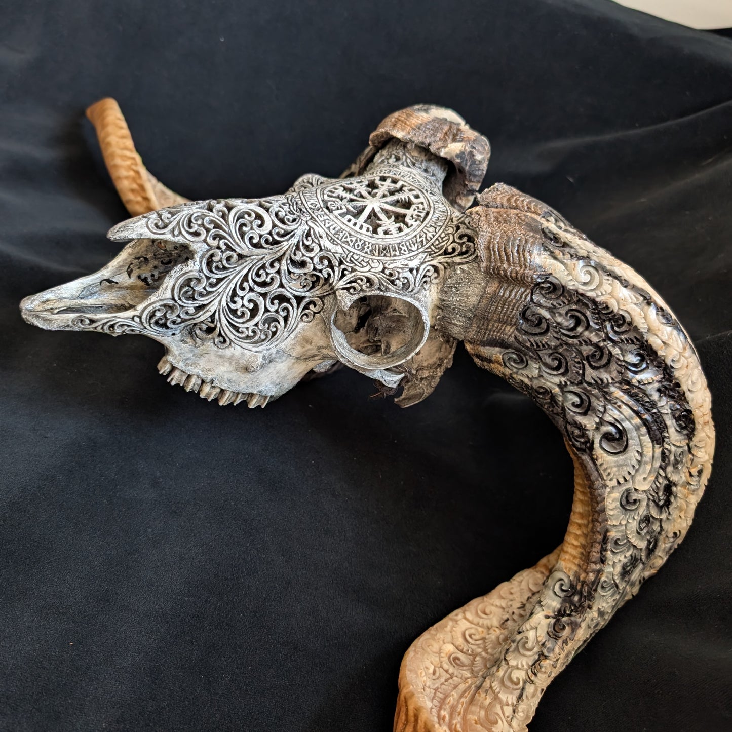 Hand-Carved Ram Skull w/ Viking Wayfinder Symbol