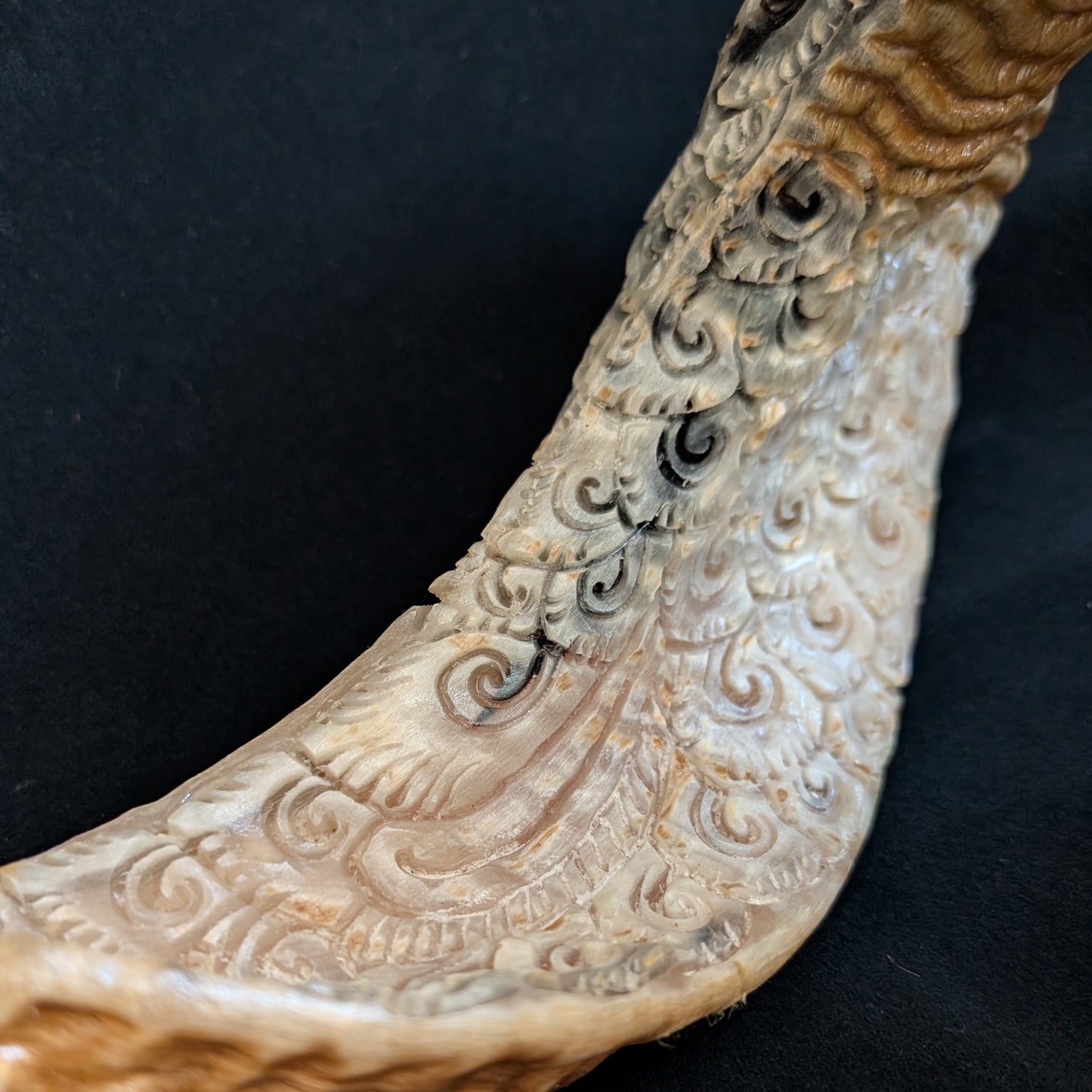 Hand-Carved Ram Skull w/ Viking Wayfinder Symbol