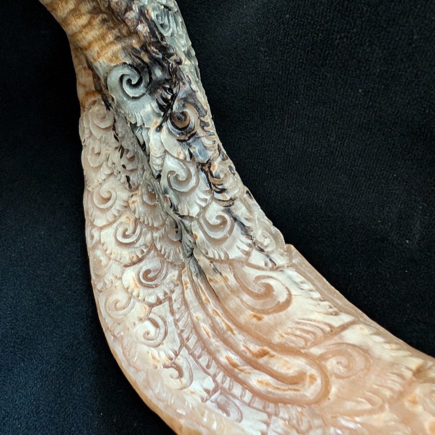 Hand-Carved Ram Skull w/ Viking Wayfinder Symbol
