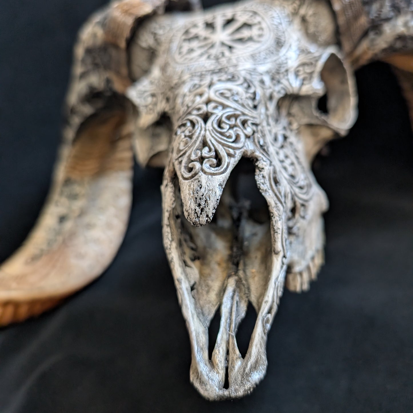 Hand-Carved Ram Skull w/ Viking Wayfinder Symbol