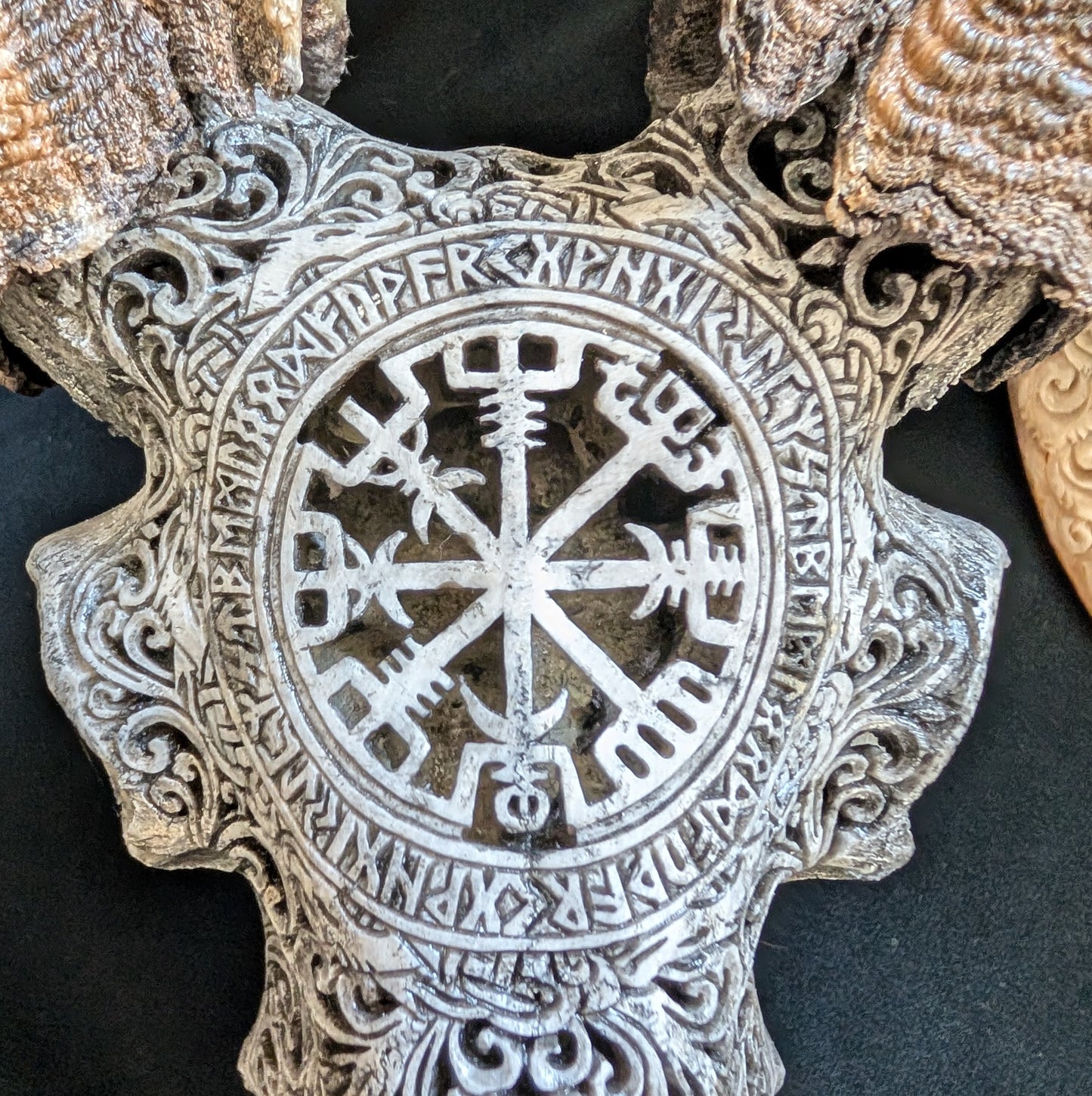 Hand-Carved Ram Skull w/ Viking Wayfinder Symbol