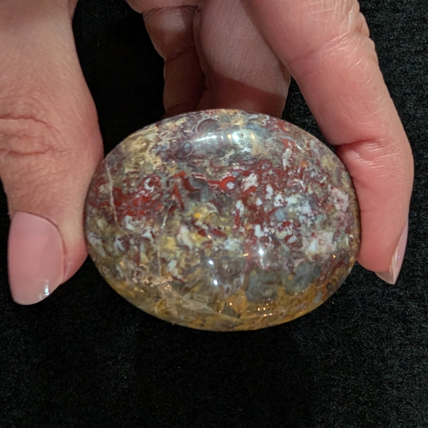 Petrified Palm Root Pocket Stone