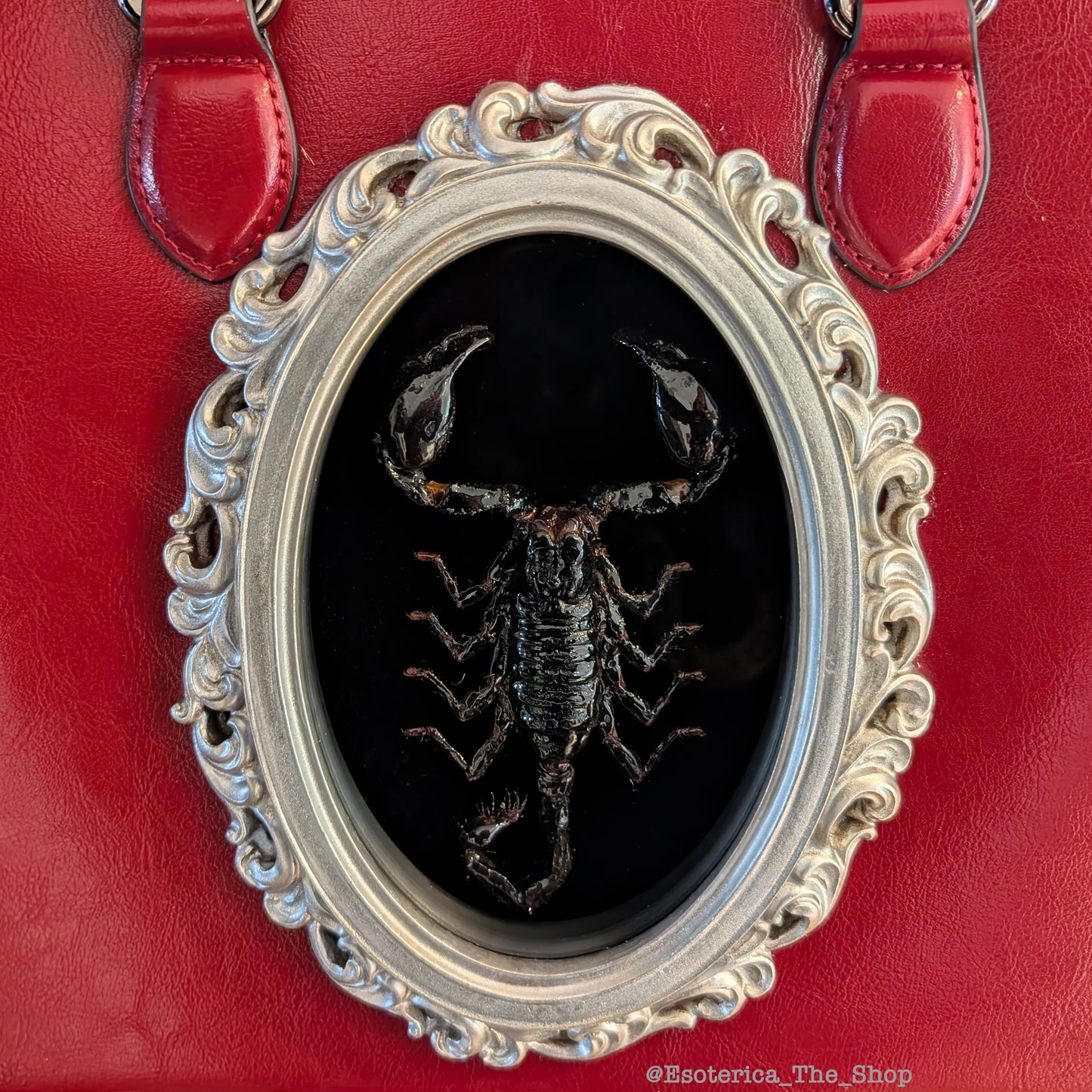 Real Scorpion Handbag - Silver Frame