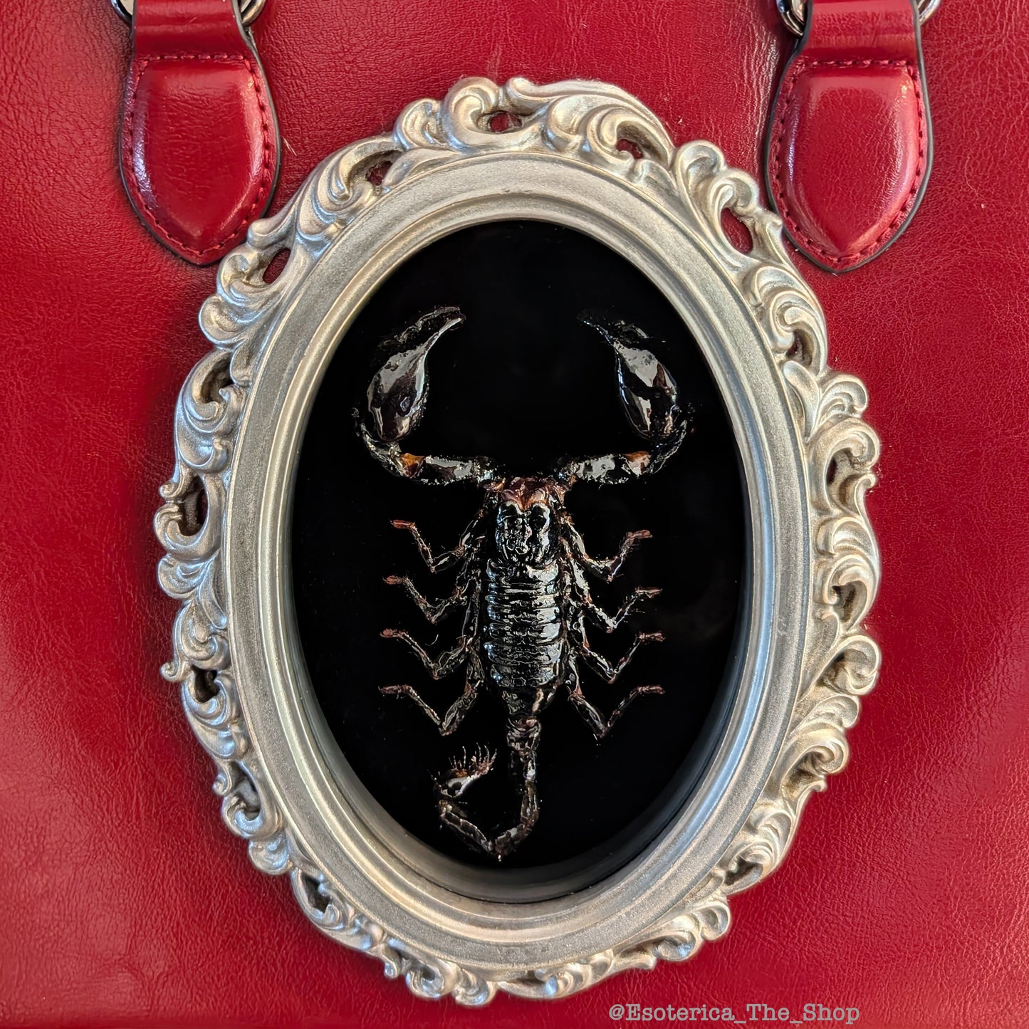 Real Scorpion Handbag - Silver Frame