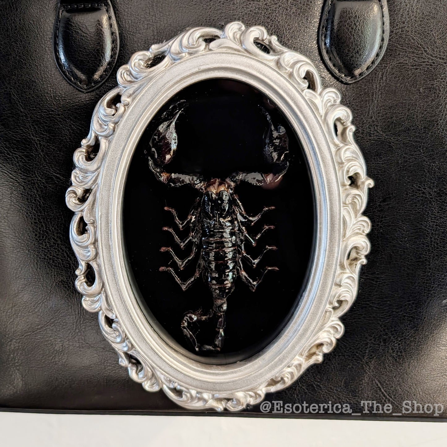 Real Scorpion Handbag - Silver Frame
