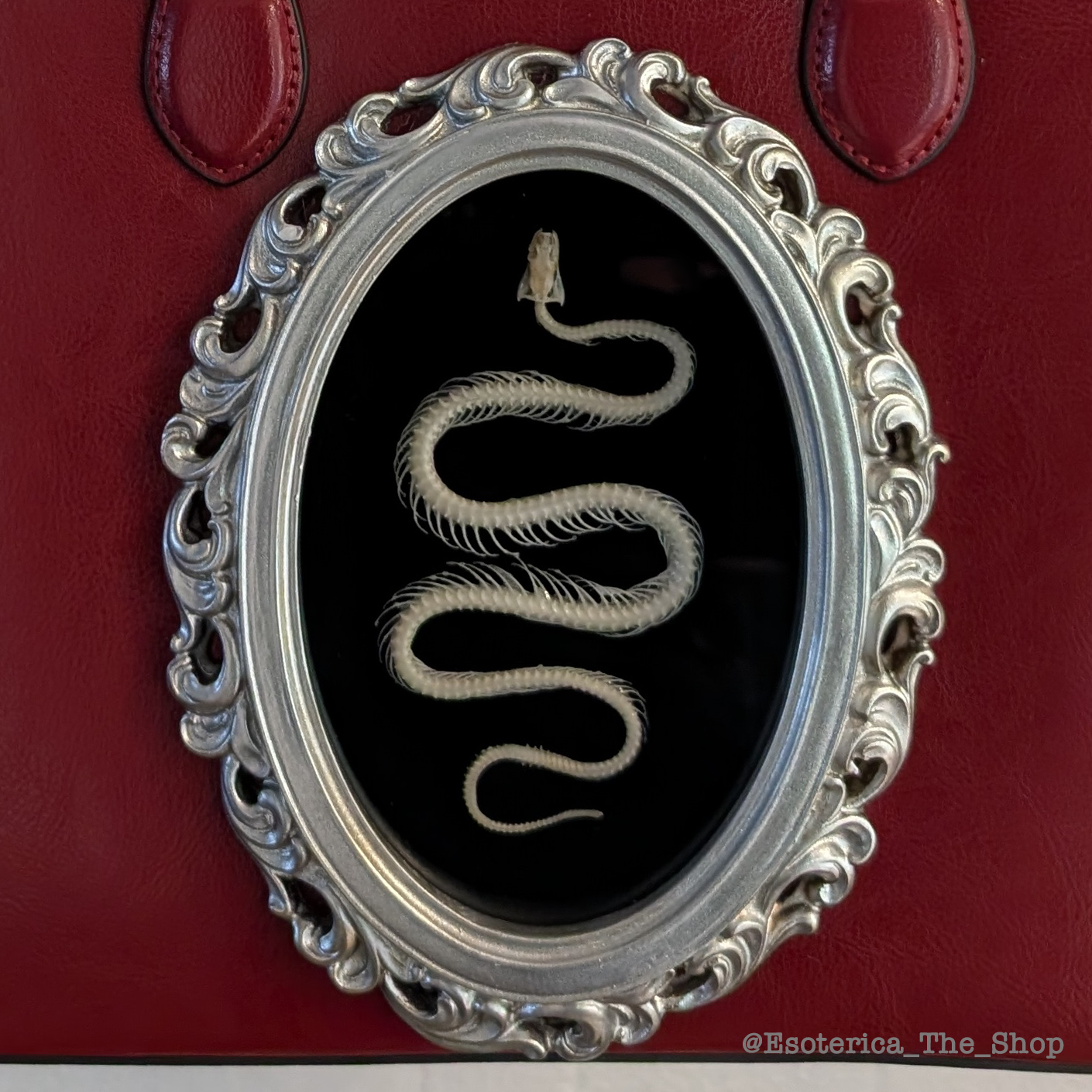 Real Snake Skeleton Handbag - Silver Frame