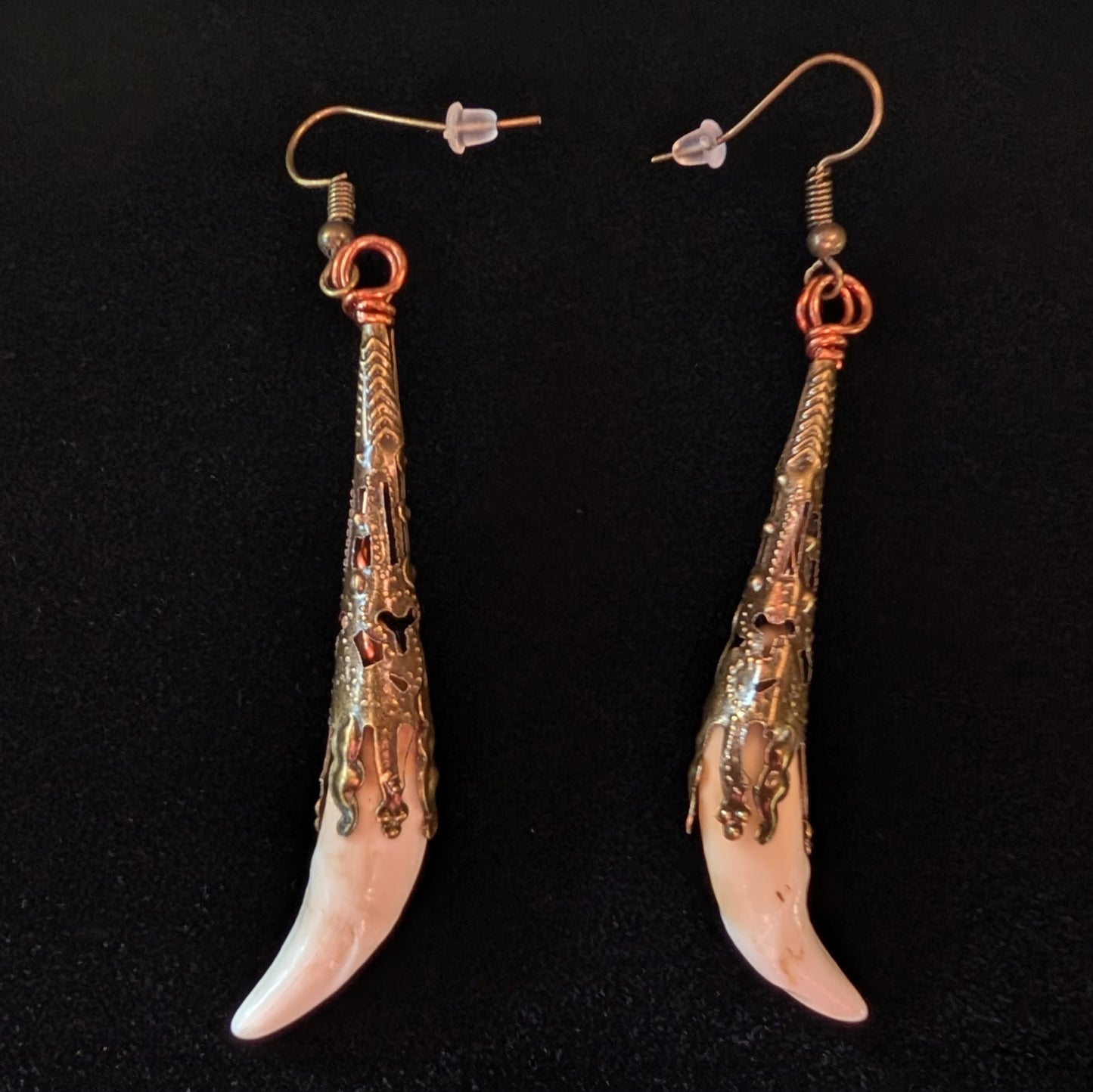 Real Coyote Tooth Earrings