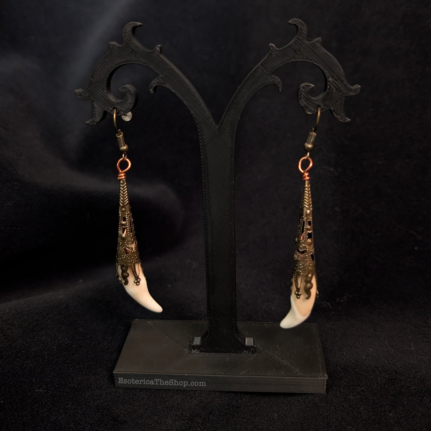 Real Coyote Tooth Earrings
