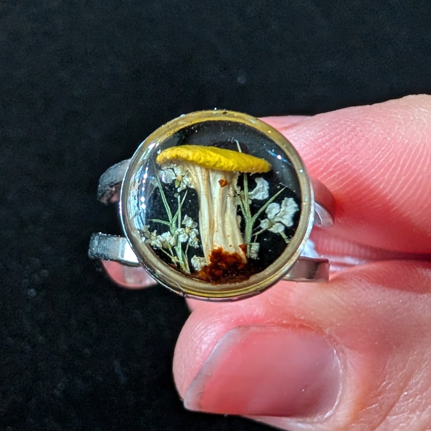 Real Mushroom Ring, double band