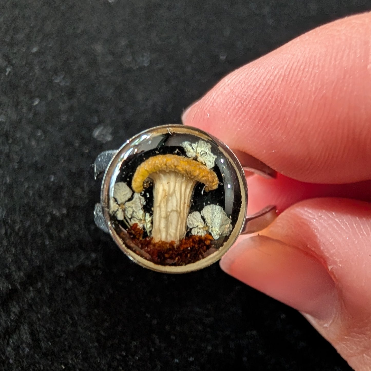 Real Mushroom Ring, double band