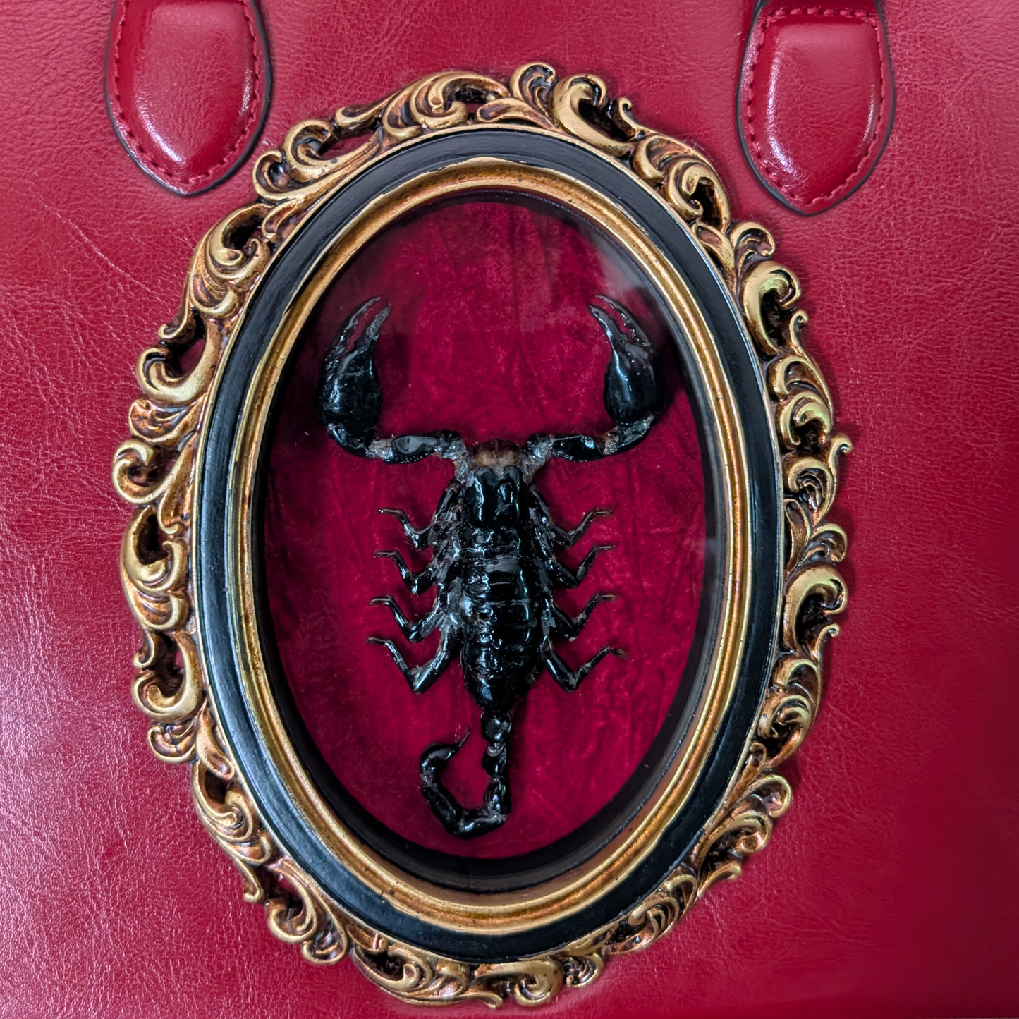 Real Scorpion Handbag - Red Background