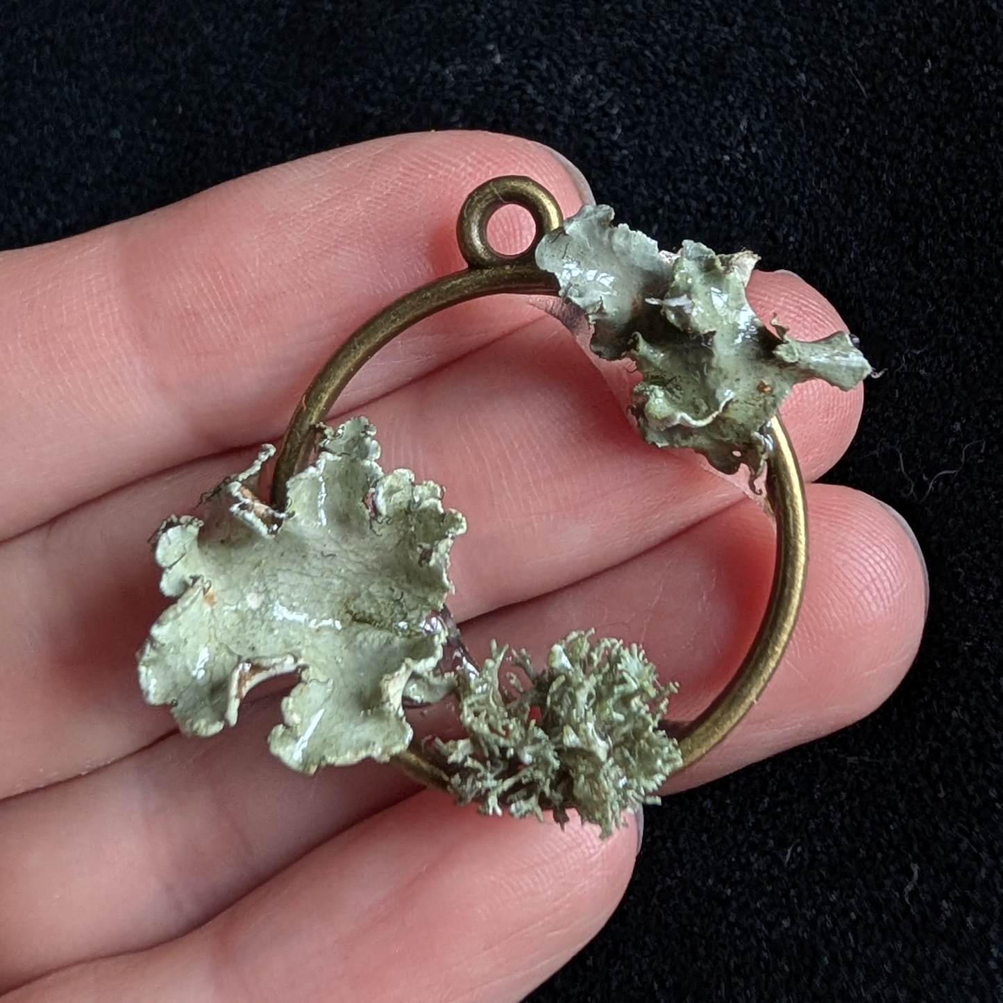 Real Lichen Pendant