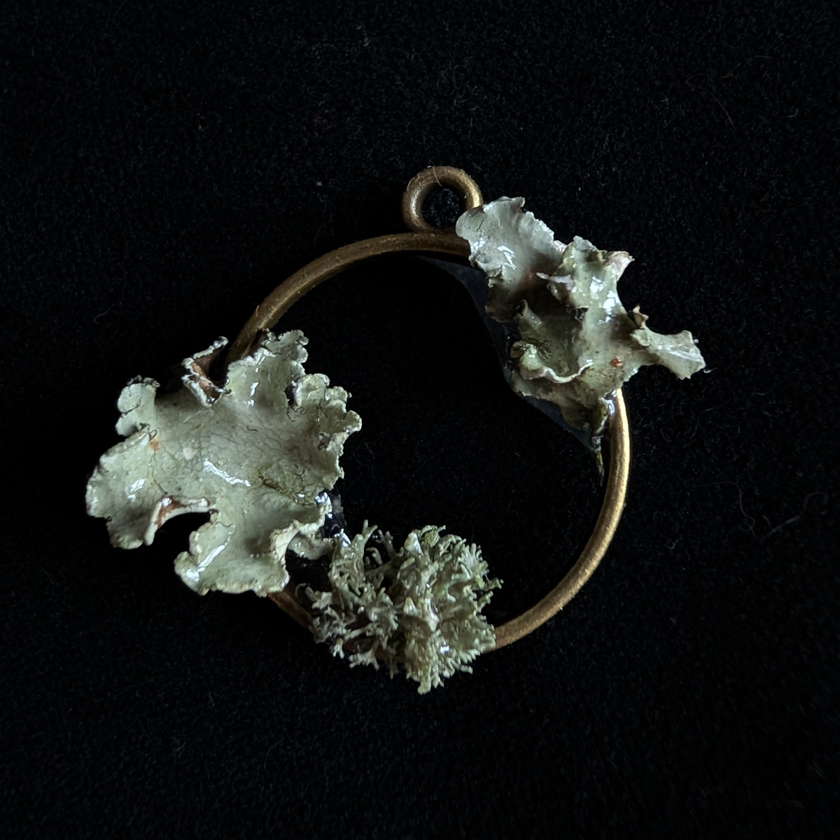Real Lichen Pendant