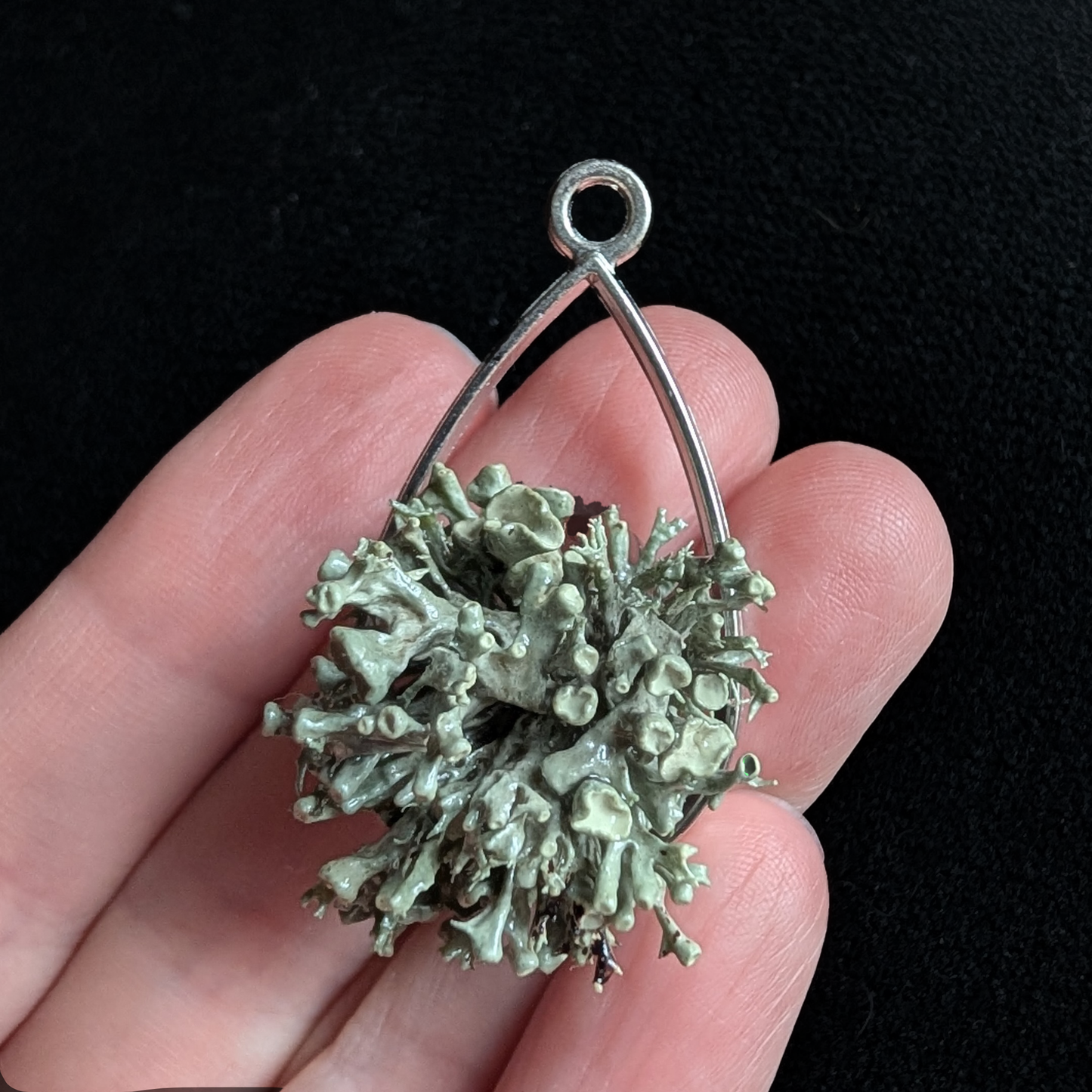 Real Lichen Pendant
