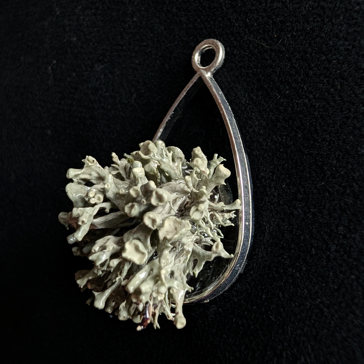 Real Lichen Pendant
