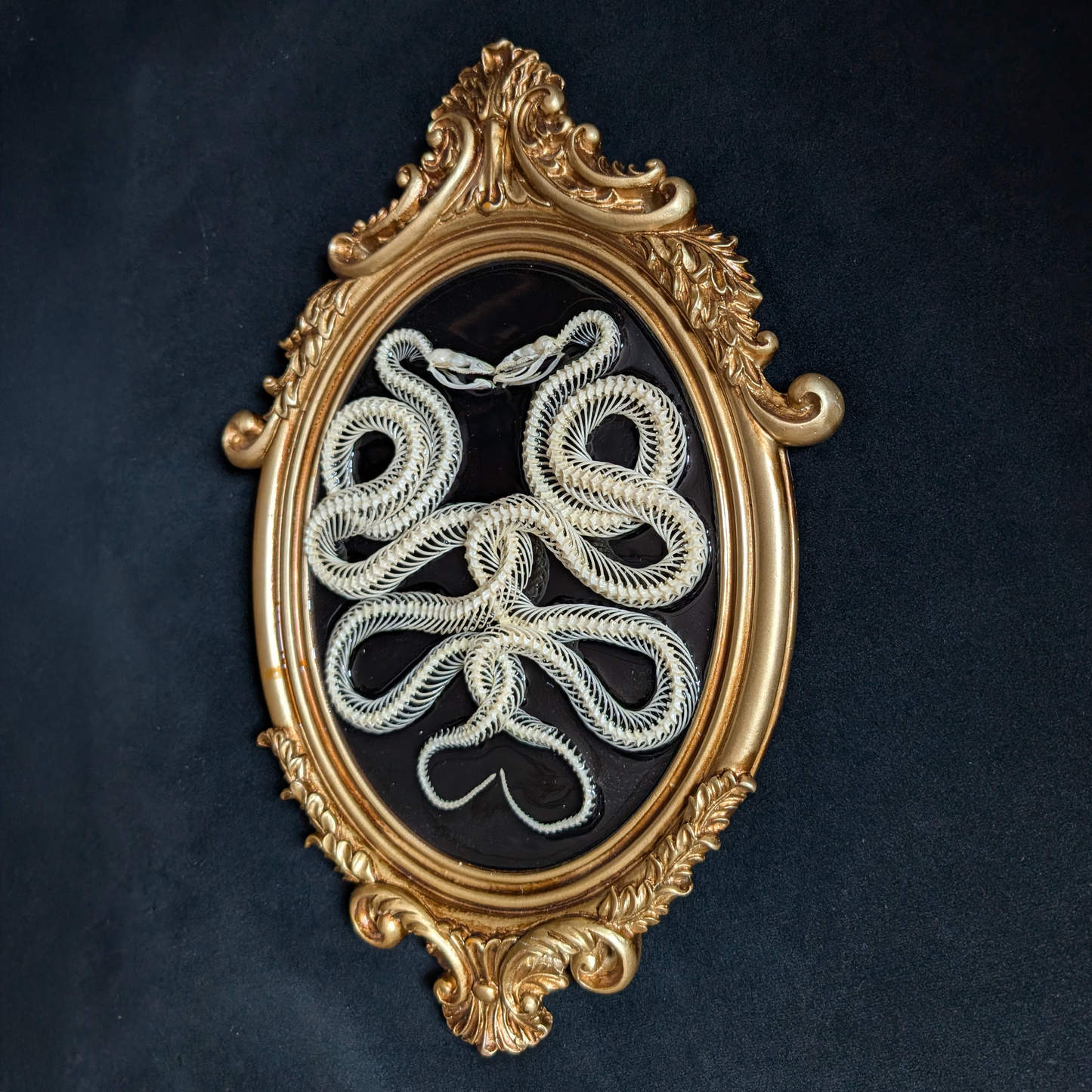 Intertwined Snake Skeletons