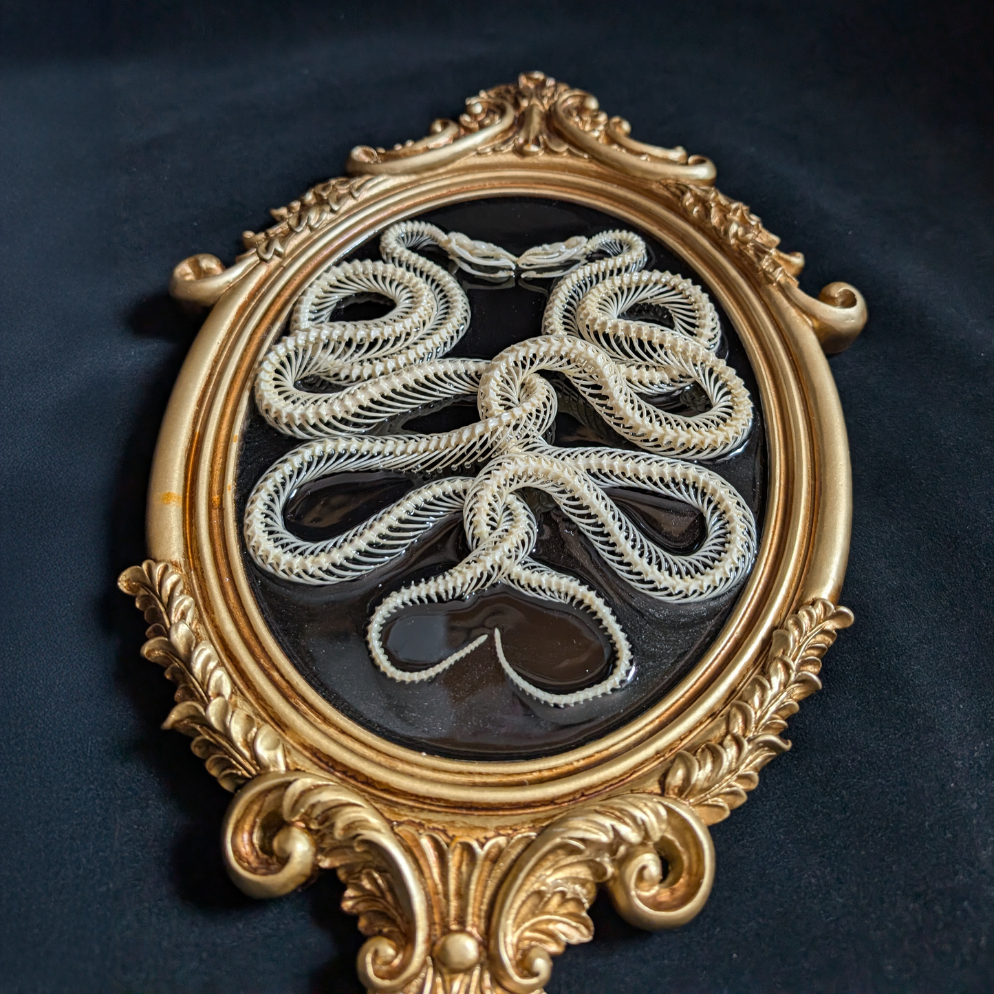 Intertwined Snake Skeletons