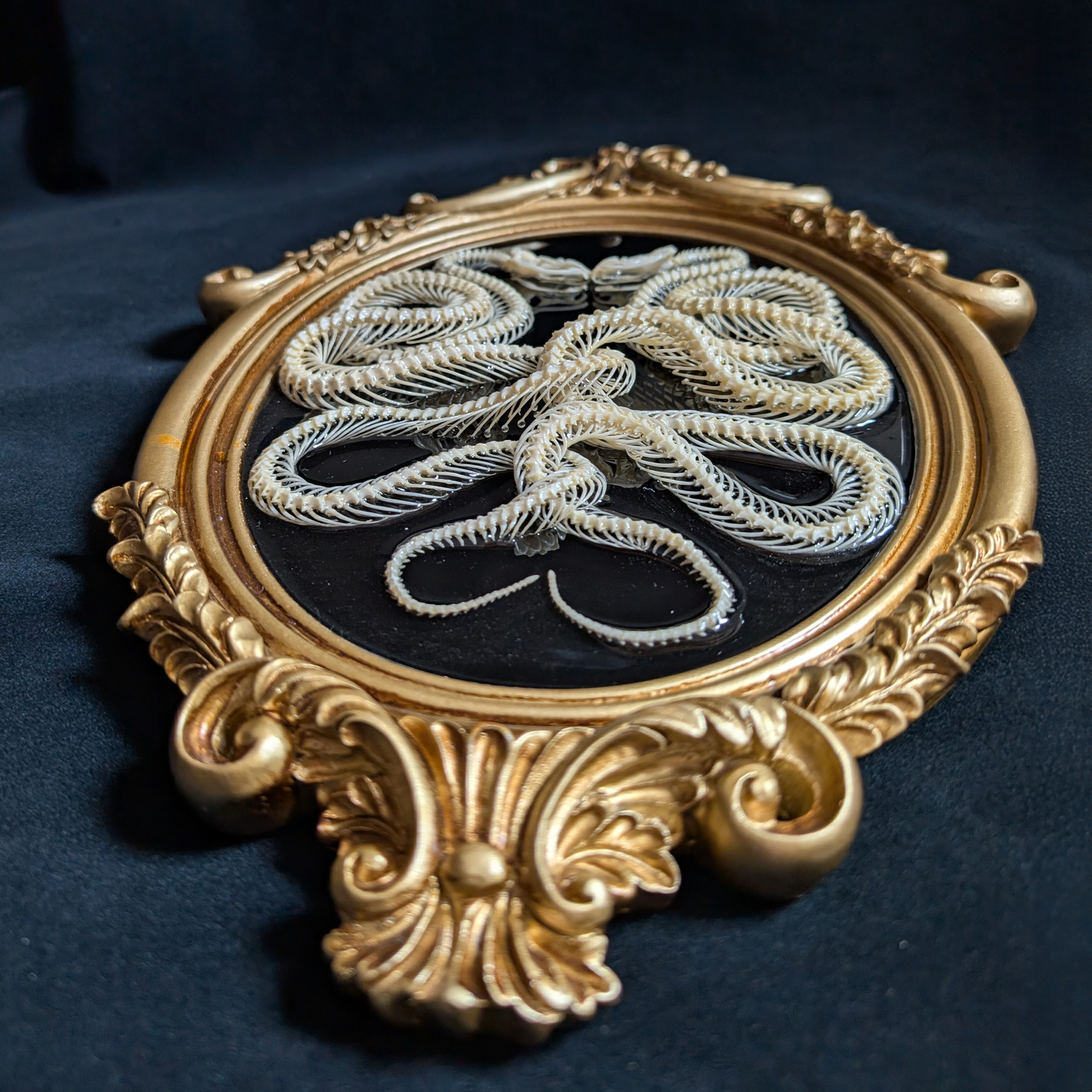 Intertwined Snake Skeletons