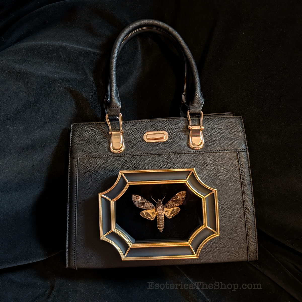 Real Death's Head Moth Handbag - Clarice