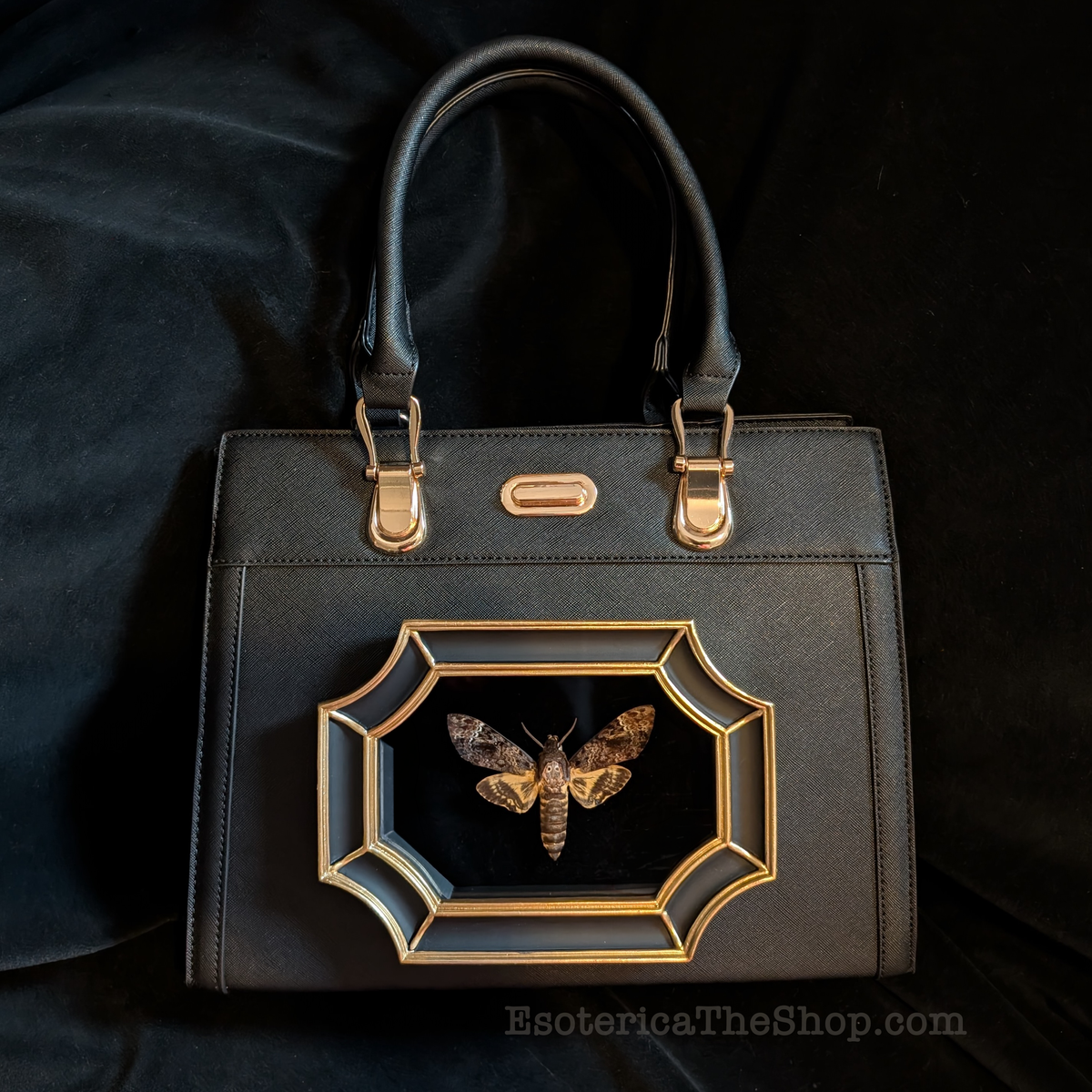 Real Death's Head Moth Handbag - Clarice