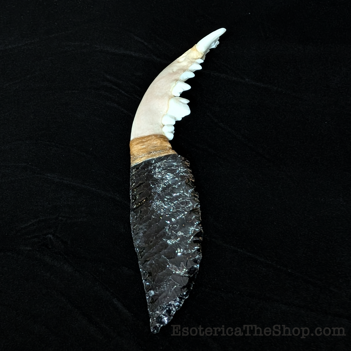 Raccoon Jaw & Obsidian Dagger