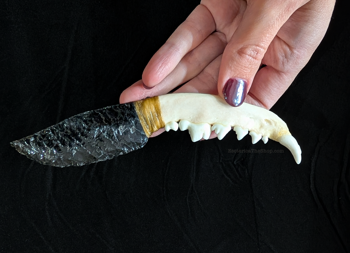 Raccoon Jaw & Obsidian Dagger