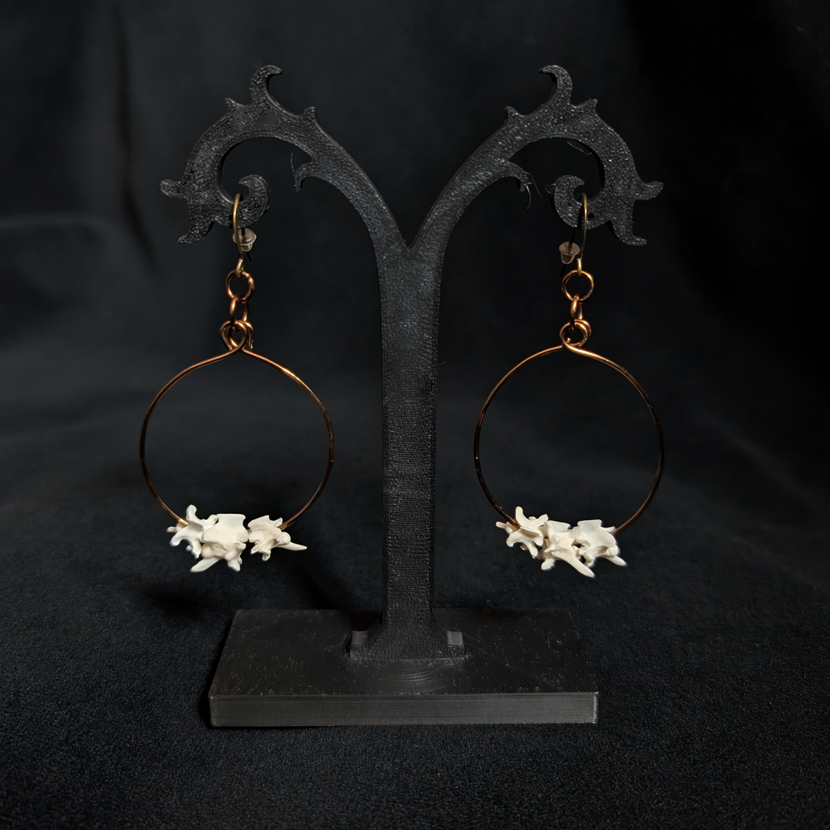 Real Snake Vertebra Earrings