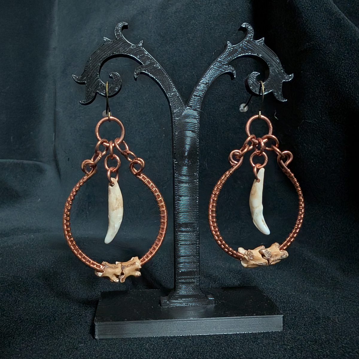 Coyote Tooth & Snake Vertebra Earrings