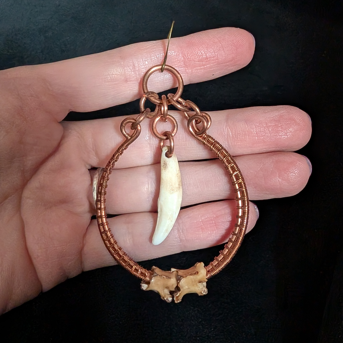 Coyote Tooth & Snake Vertebra Earrings
