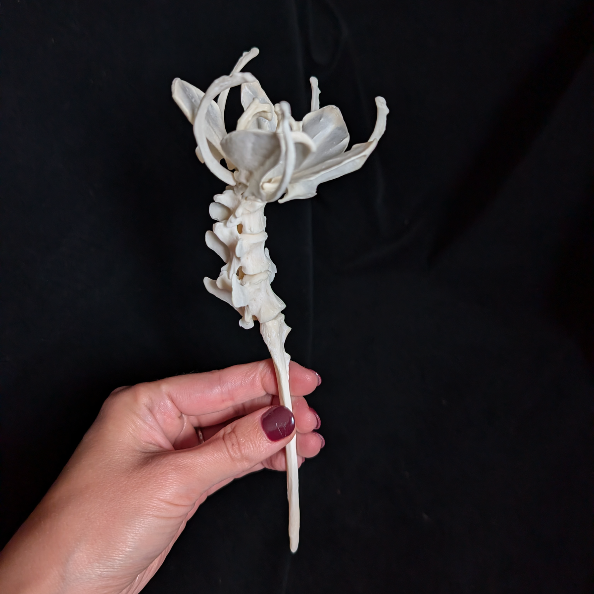Real Bone Flower