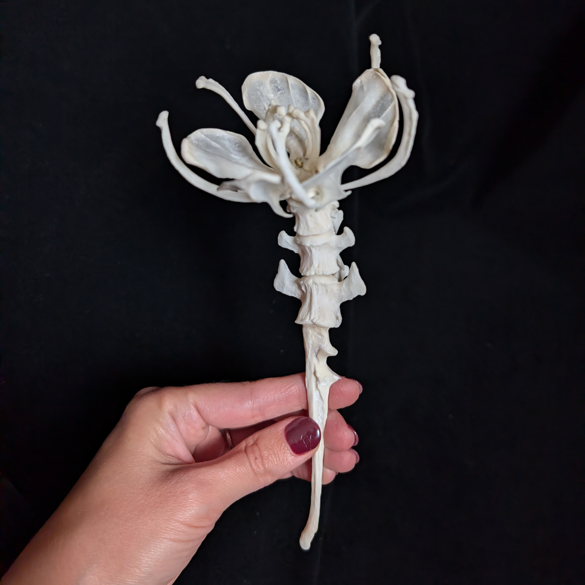 Real Bone Flower