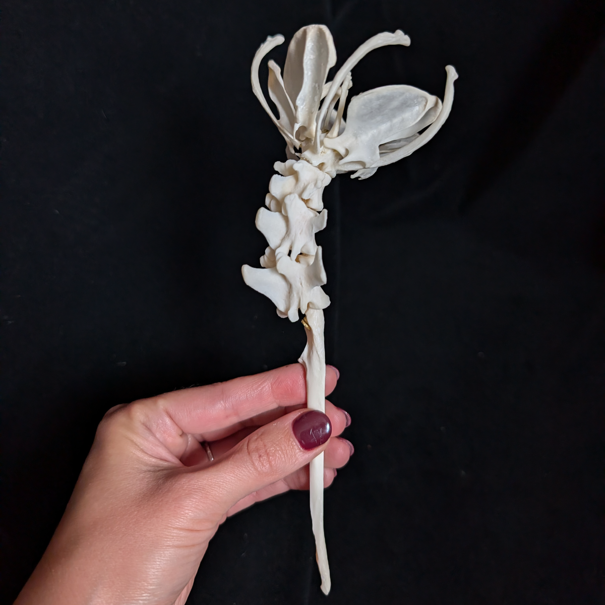 Real Bone Flower