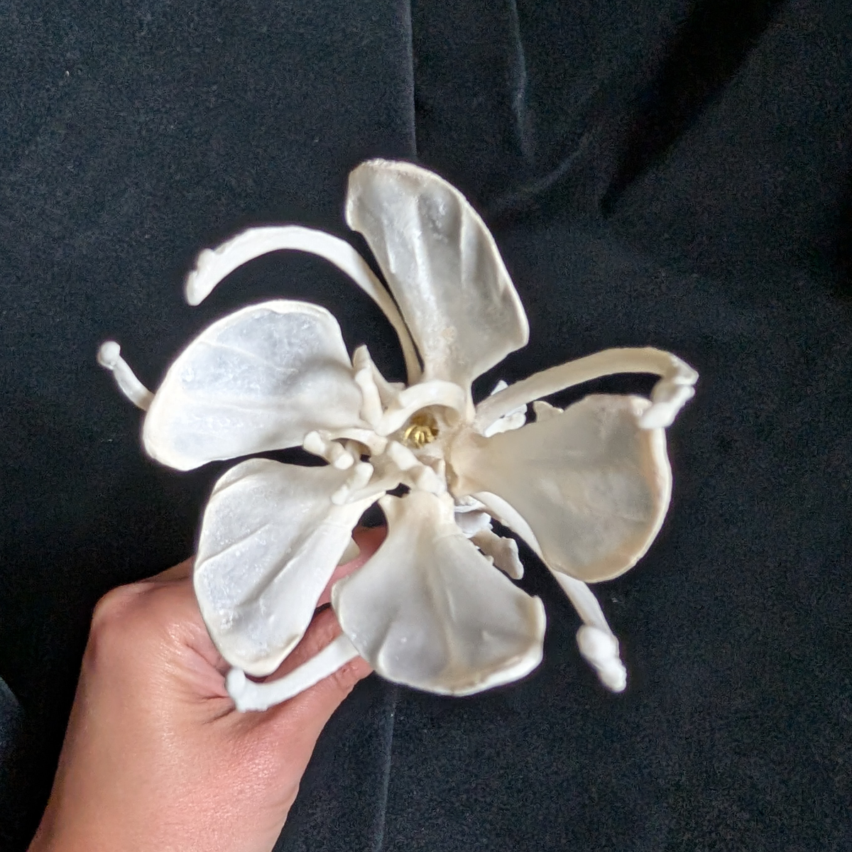 Real Bone Flower