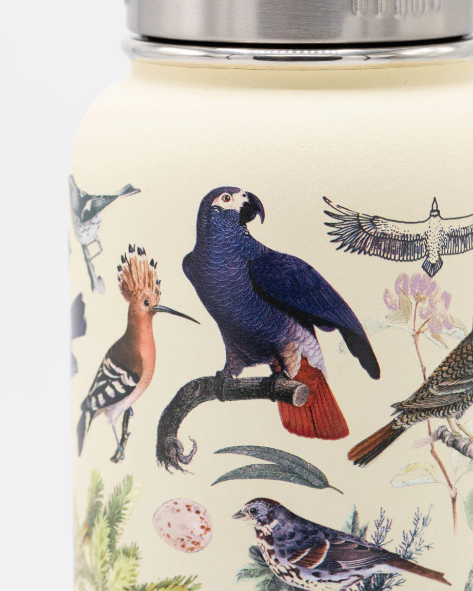 Stainless Steel Bottle: Birds, 32oz