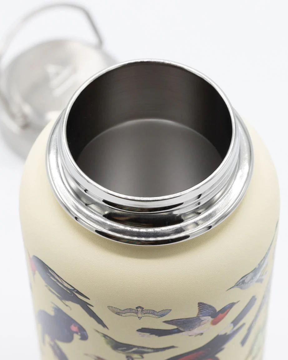 Stainless Steel Bottle: Birds, 32oz