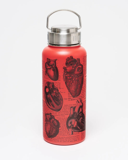 Stainless Steel Bottle: Anatomical Heart, 32oz