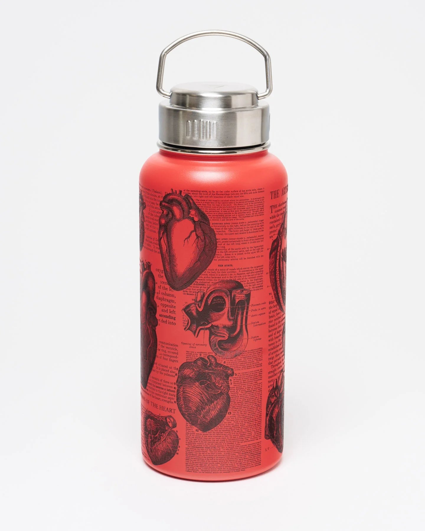 Stainless Steel Bottle: Anatomical Heart, 32oz
