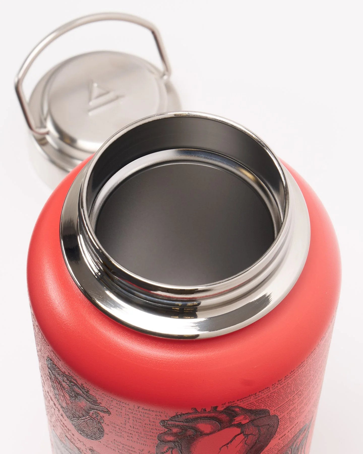 Stainless Steel Bottle: Anatomical Heart, 32oz