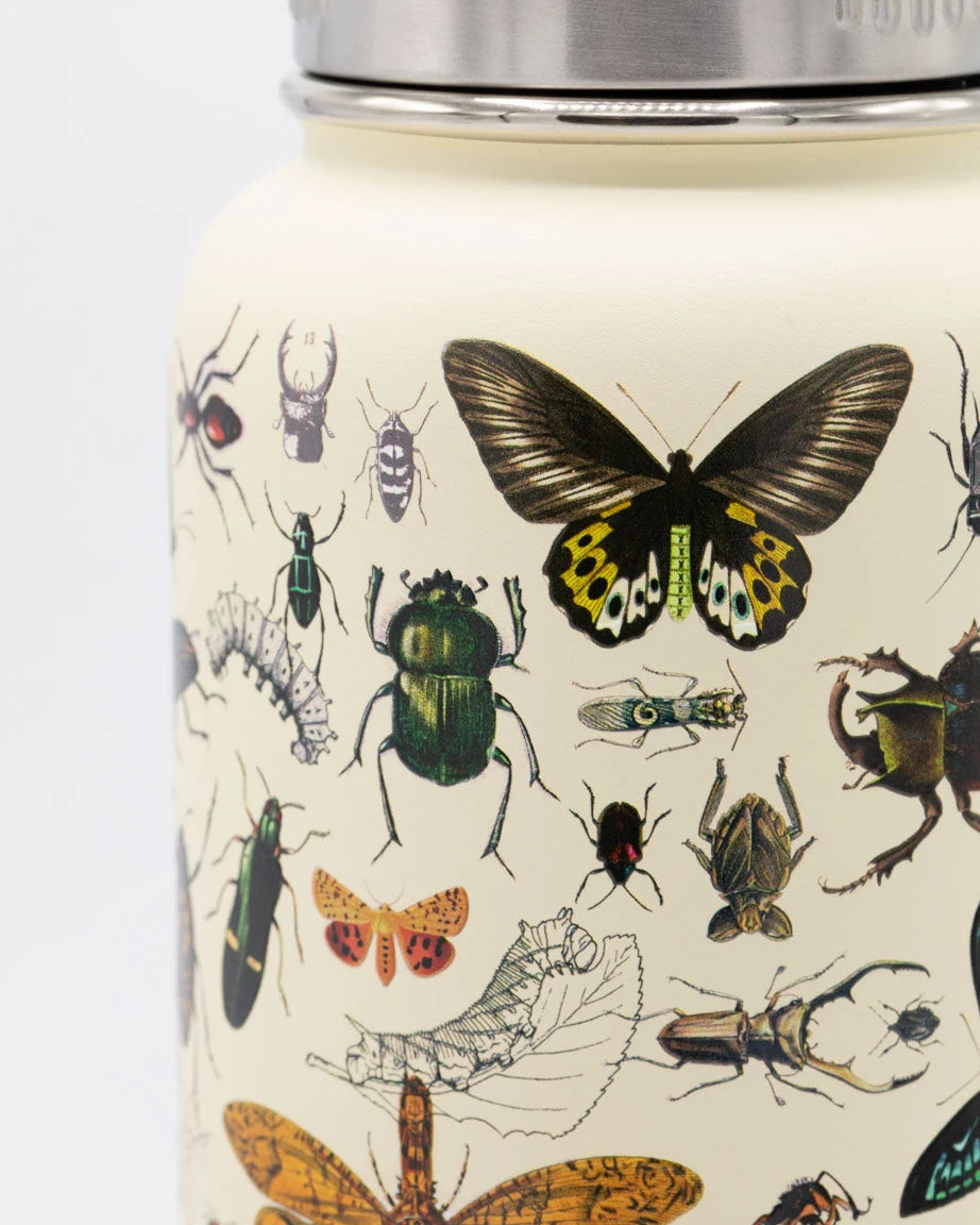 Stainless Steel Bottle: Insects, 32oz