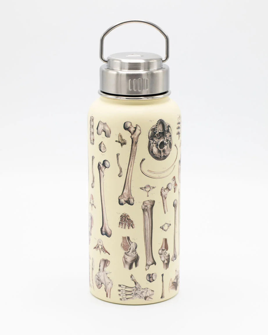 Stainless Steel Bottle: Skeleton, 32oz
